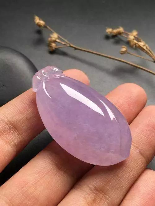 紫罗兰|为什么紫罗兰被叫做“见光死”？