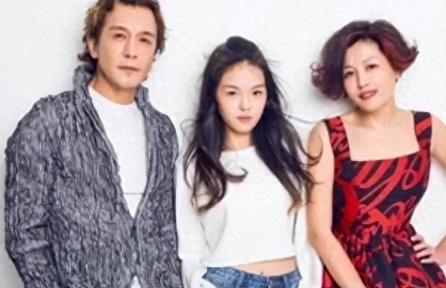 时隔5年李咏死因被揭开,妻子哈文道破真相,遗体为何不运回国