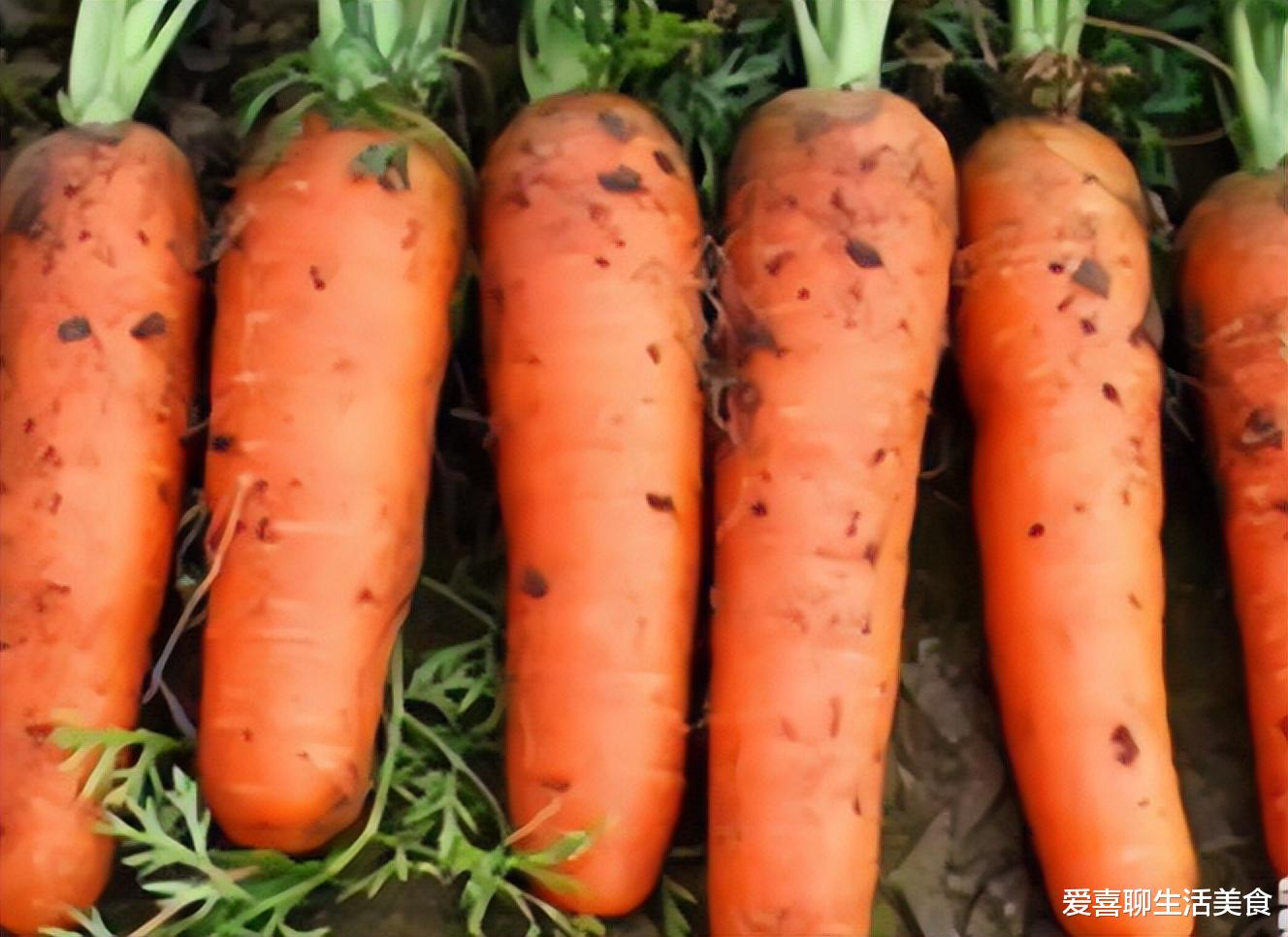 白萝卜|初冬吃萝卜，切记别与它们同吃，两者是“死敌”，吃萝卜的禁忌要知道