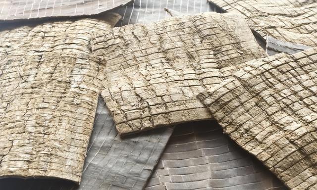 人未老，腰已衰！一个方子，温肾阳，壮筋骨