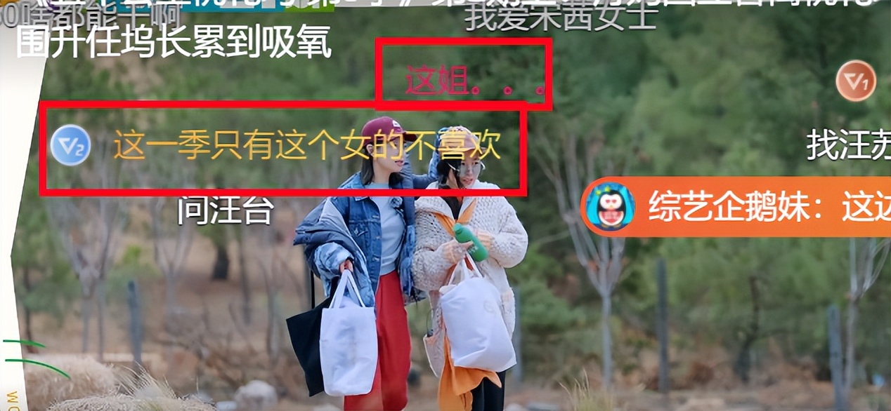 汤晶媚|气哭任敏、对李雪琴翻白眼、让王鹤棣黑脸，汤晶媚录节目再引争议