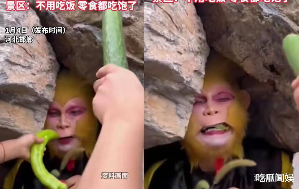 邯郸景区月薪6000招聘孙悟空，每天卡在洞中吃喝，居然被投喂辣椒