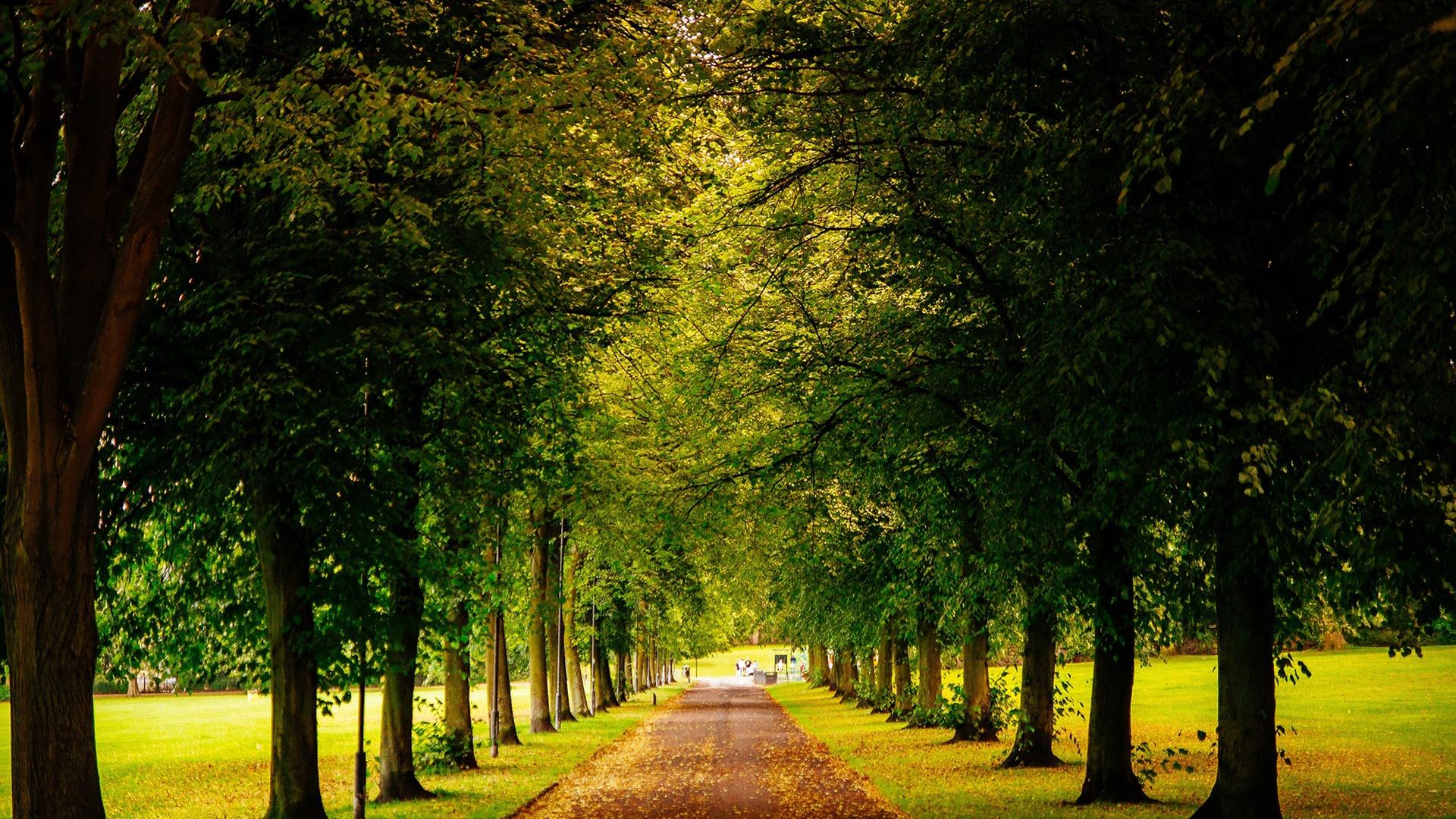 7月2日后，职场加薪，如鱼得水，4大生肖事业走红，步步高升