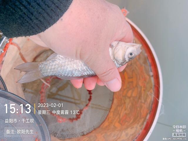 |再战千工坝，连杆的感觉真的不错！