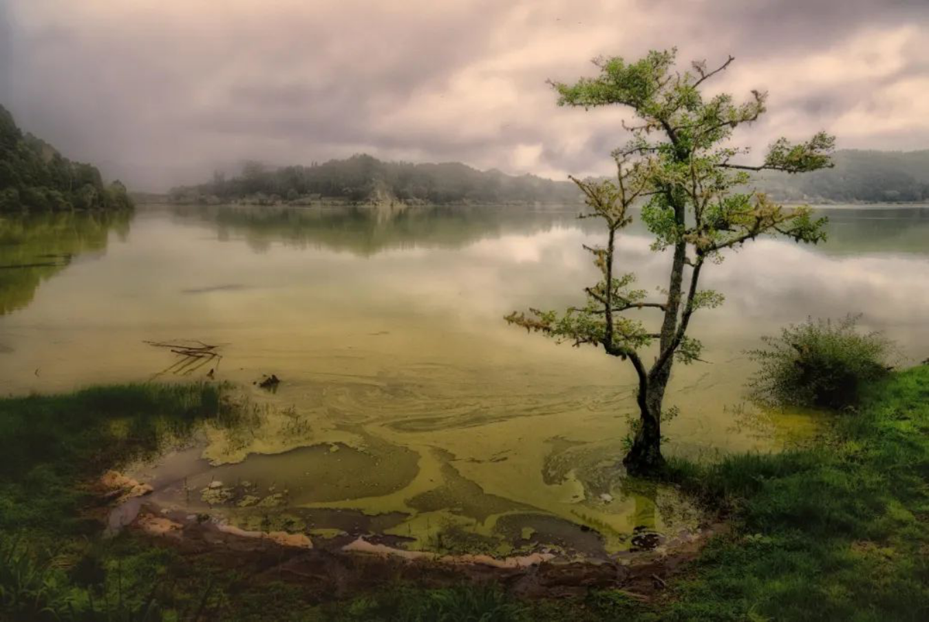 1.13-2.3,福星高照,鸿运当头,富贵双至,乐多忧少的4个生肖