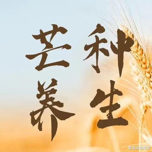 芒种|6月6号芒种,别忘了吃2肉,食2瓜,喝2汤,应时节补身体,乐过夏