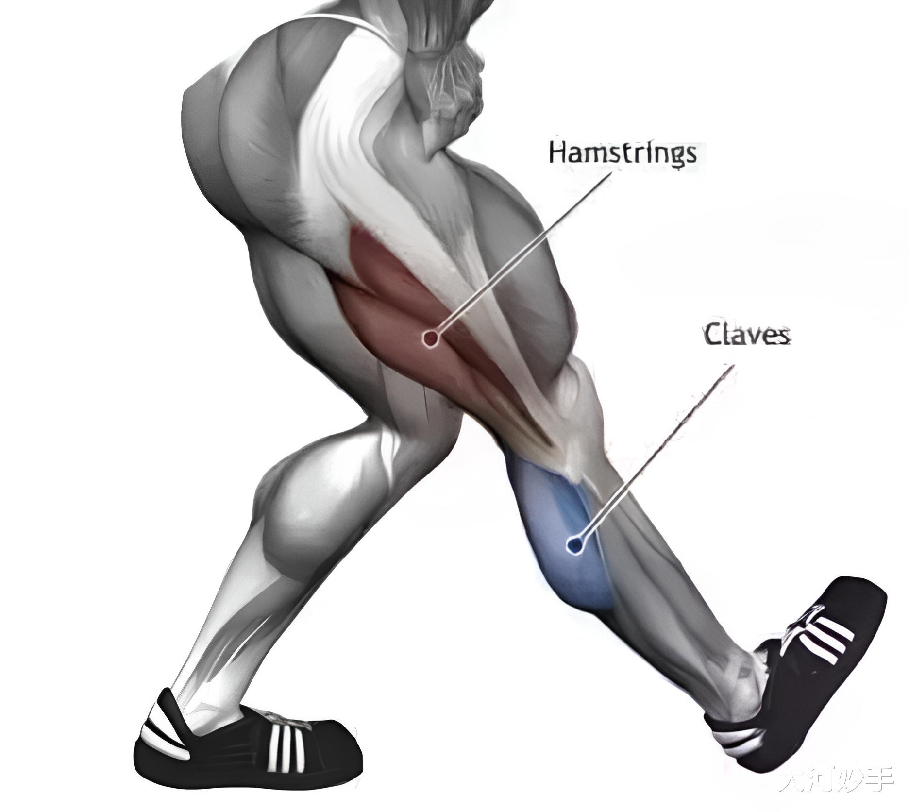 拉筋藏宝图，健身不迷茫，到了八段锦这个层级无图有真相