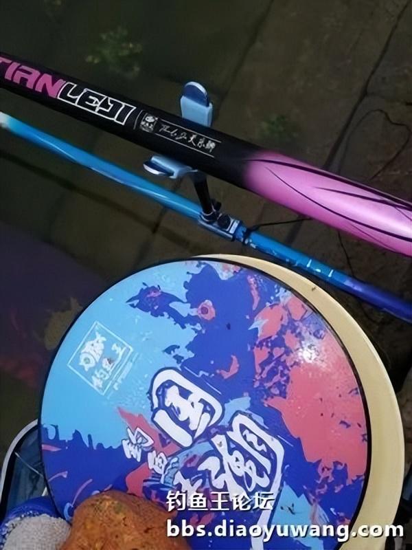 |天乐鲫竿弯弓现,大鲫大鲤争上岸