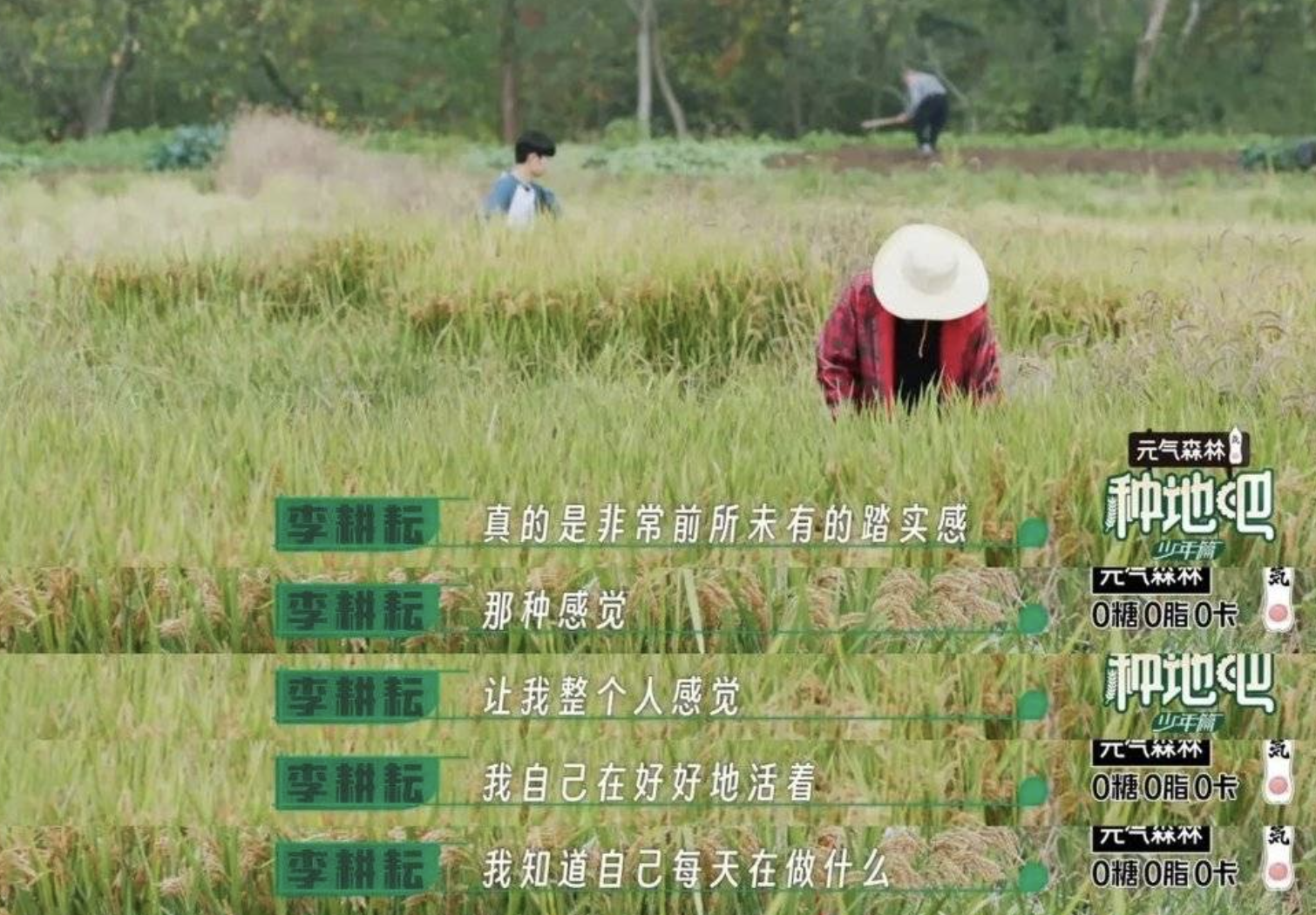 种地吧|糊咖爱豆集体种地？2023第一档王炸真人秀，撕开多少国综的遮羞布