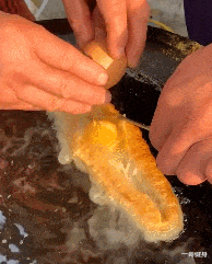 乔杉|“乔杉洗脚城被抓了,会像海波一样退出演艺圈吗?”