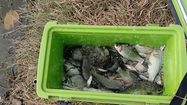 |深冬野钓天气与水深的关系，弄明白渔获真的能翻倍