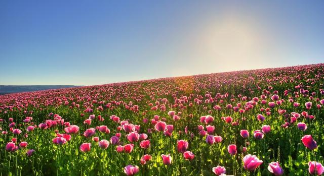 坚持,让好事发生