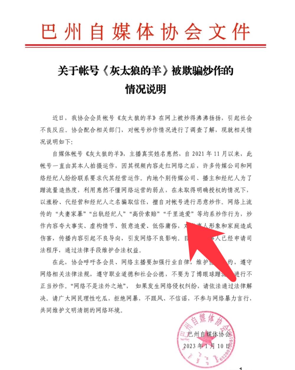 “家暴VS网暴?”嘎羊少女家暴事件再起波澜,协会发声遭质疑
