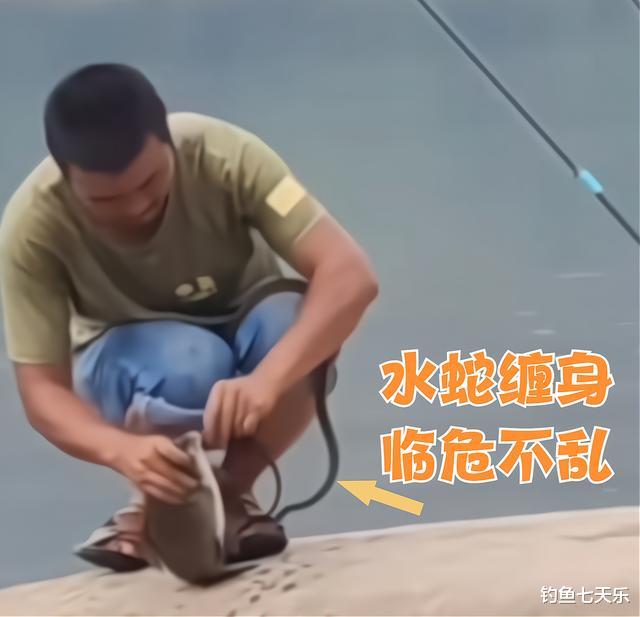 钓鱼|江苏男子垂钓时遭水蛇缠身，稳坐钓鱼台扬竿遛鱼，网友：开眼界了