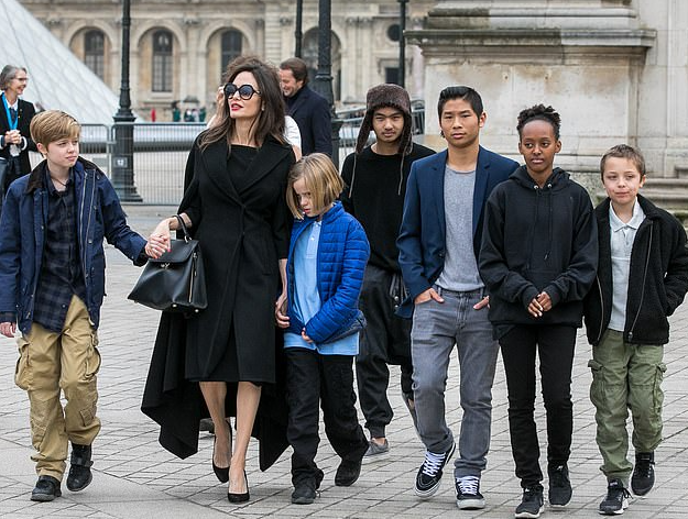 反了!朱莉19岁养子发文炮轰皮特:你是一个可怕、卑鄙的人