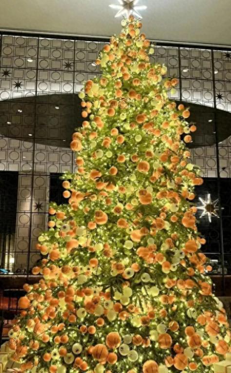 李湘高调晒王诗龄回国过圣诞，我笑死在网友的评论区