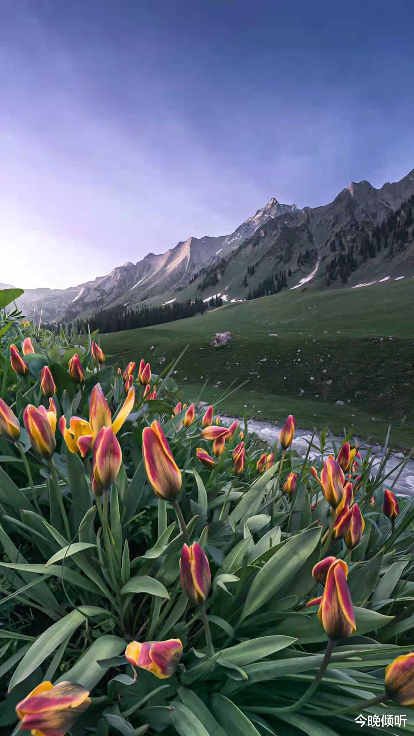 教师|学校教师那么多为什么还闹教师慌呢?原来里面是有乾坤的