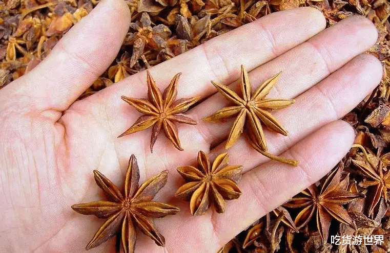 羊汤|炖羊肉汤,牢记“3放4不放”,保证汤白味鲜特好喝,看完涨知识了!