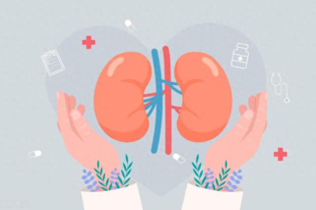 痰多在肾，白发在肾，后脑勺出汗还在肾！3个药，化痰养发止汗！