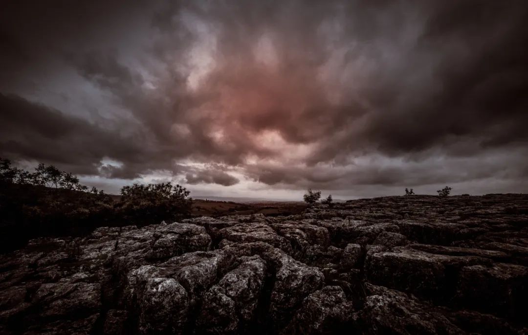 生肖|下半年,人气旺盛,正财稳定,偏财大赚的4大生肖