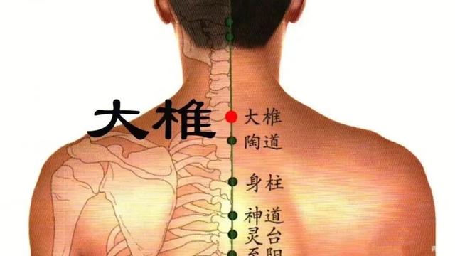针灸治疗7种顽固皮肤病（白癜风、蛇丹、荨麻疹、斑秃、湿疹等）