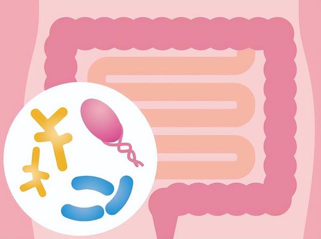 戒烟|肚子频繁咕噜叫，还伴随放屁增多，医生：可能和这几个因素有关