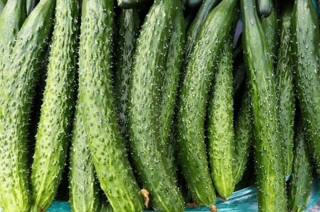 医生劝告：西红柿炒鸡蛋，尽量不要放“此物”，早了解不吃亏