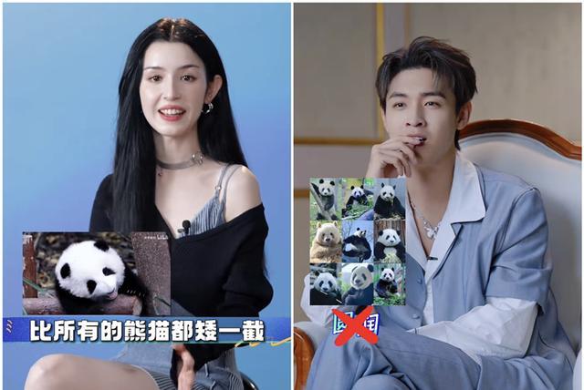 米妮|孟鹤堂做客秦霄贤综艺，接受节目组专访，网友：孟哥对熊猫真了解