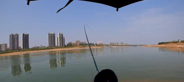 |浅谈鱼儿的趋温性，误解颇多，大幅影响渔获