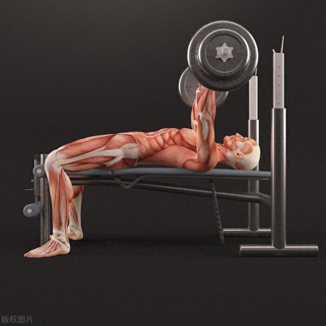 健身前注意4件事,避免无效健身,让你效率翻倍!