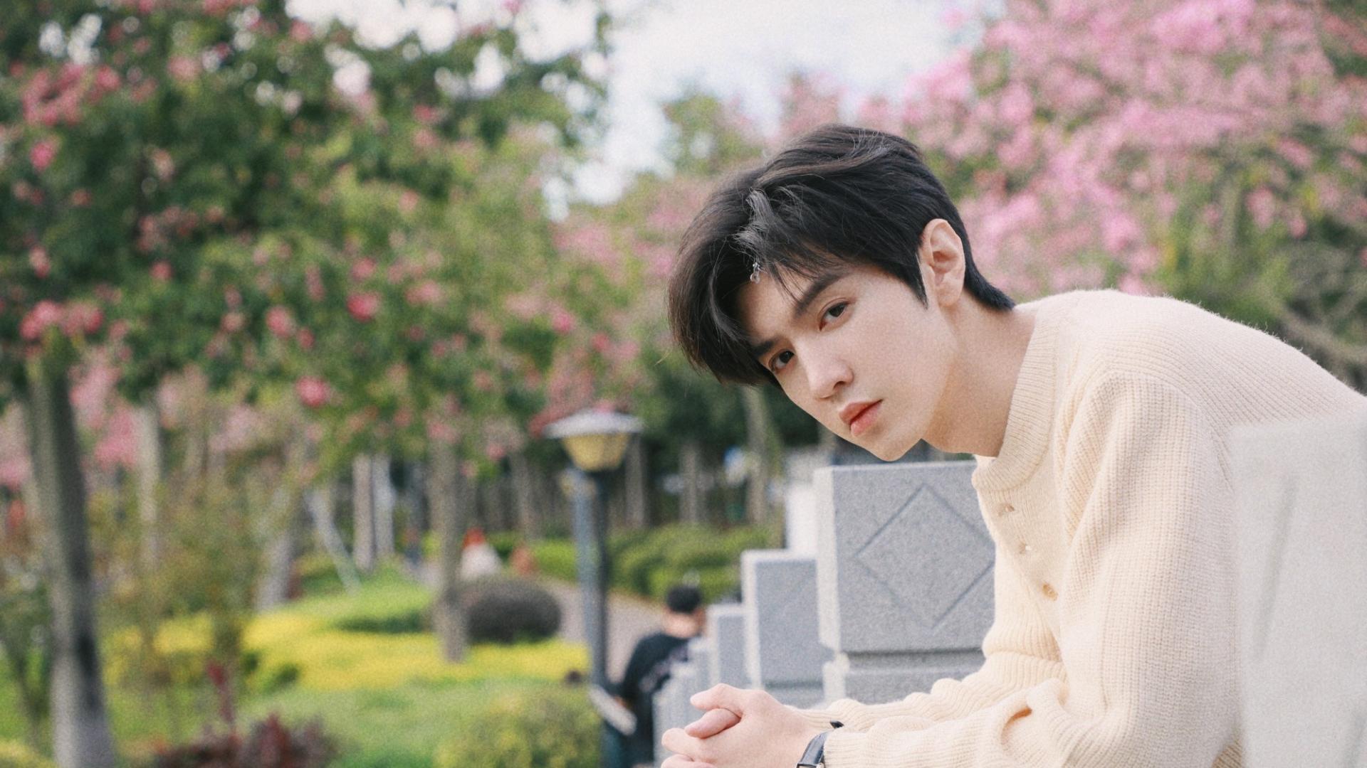 陈哲远《白色橄榄树》开拍在即，女主花落梁洁，看清编剧追定了！