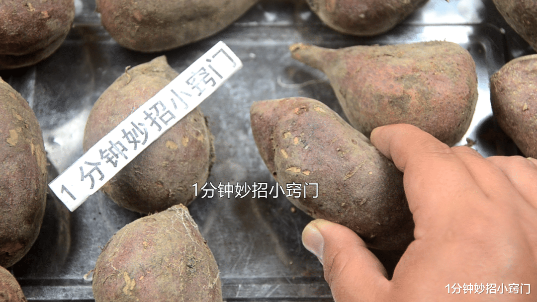 红薯|保存红薯有窍门，教你3个方法，红薯放半年不烂不发芽，越放越甜