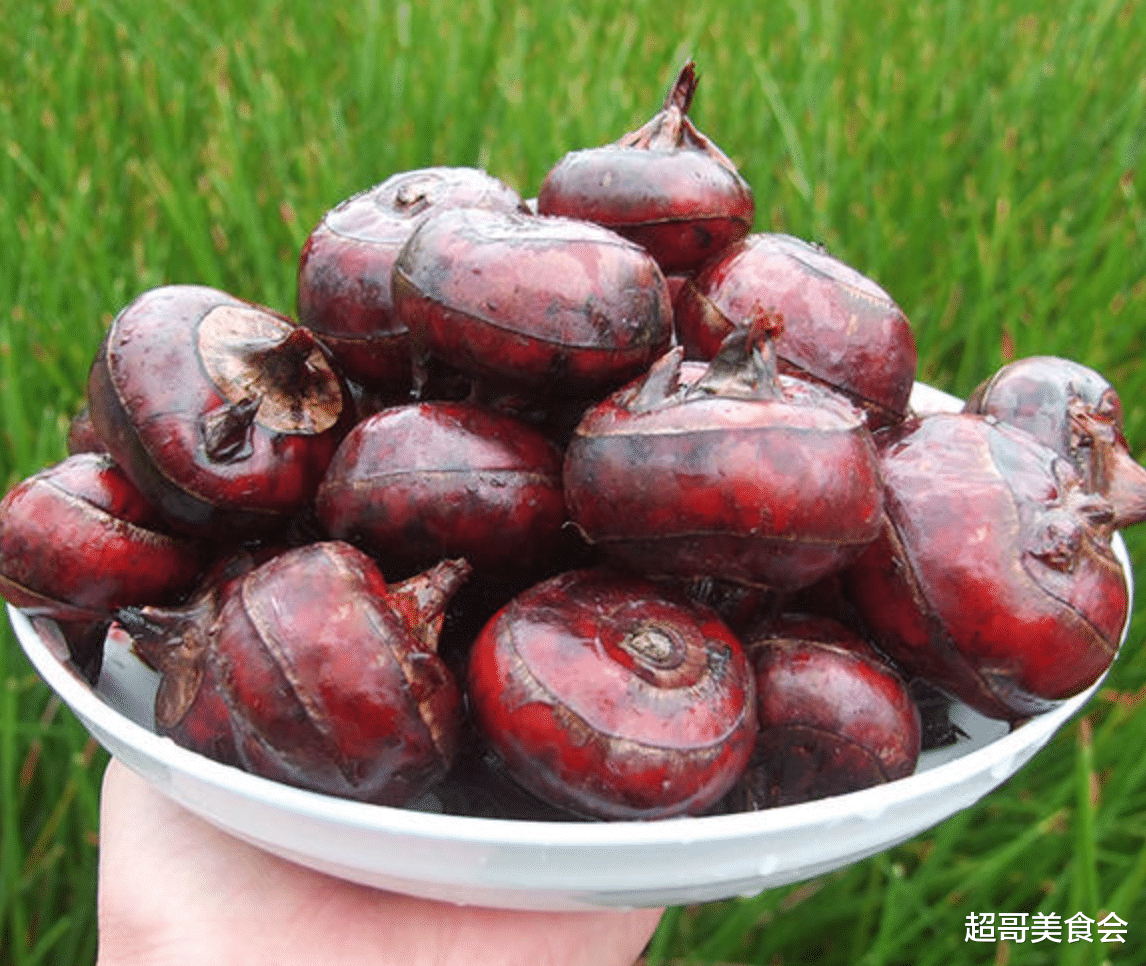 藠头|盘点5道容易被“念错”的中国菜,第5道菜:会念却不会写