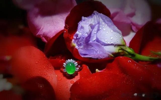 邮票|惊蛰 | 翡翠 · 花影