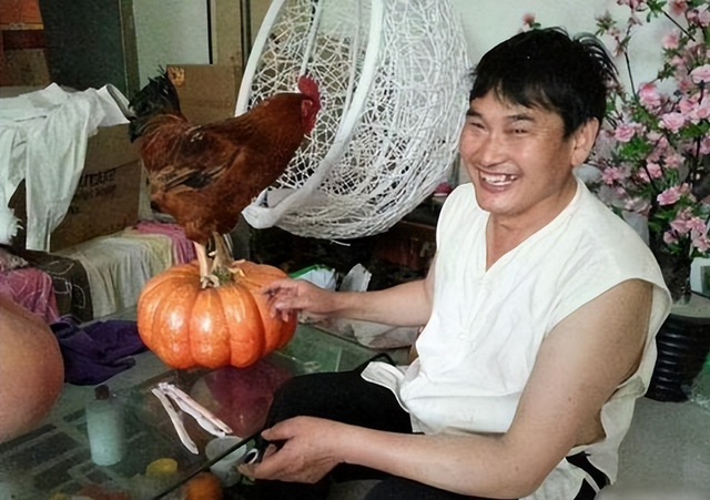 大衣哥是狠人！大门上安滚钉板，围墙上种仙人掌，粉丝们要小心