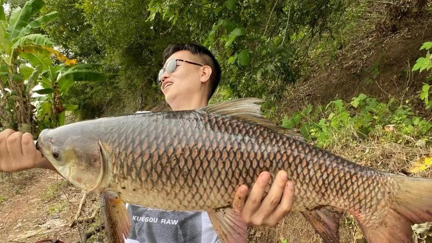 鱼的记忆力仅有7秒？不要被人带偏了，这和我们钓鱼息息相关