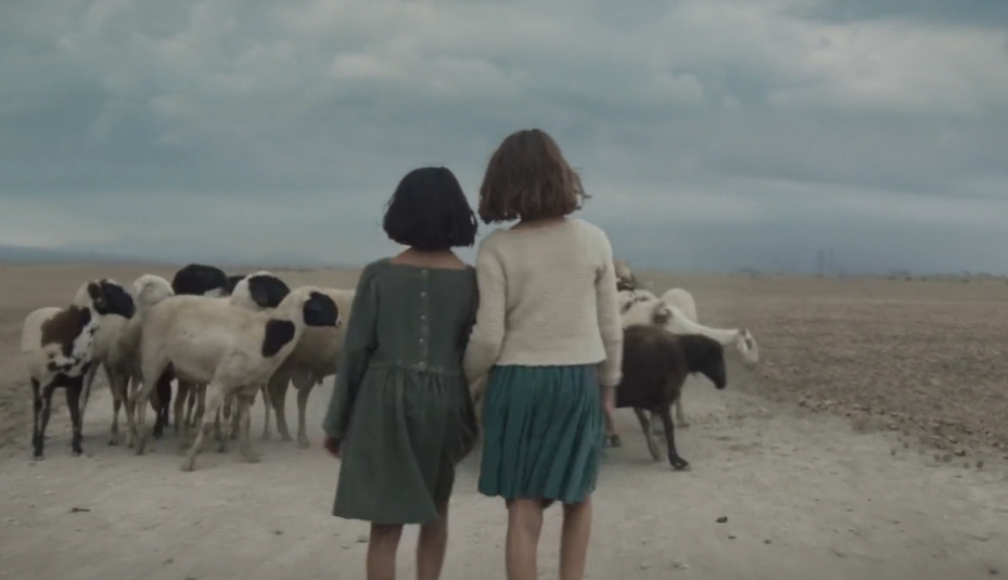 校花|内娱开年第一撕, 与她无关