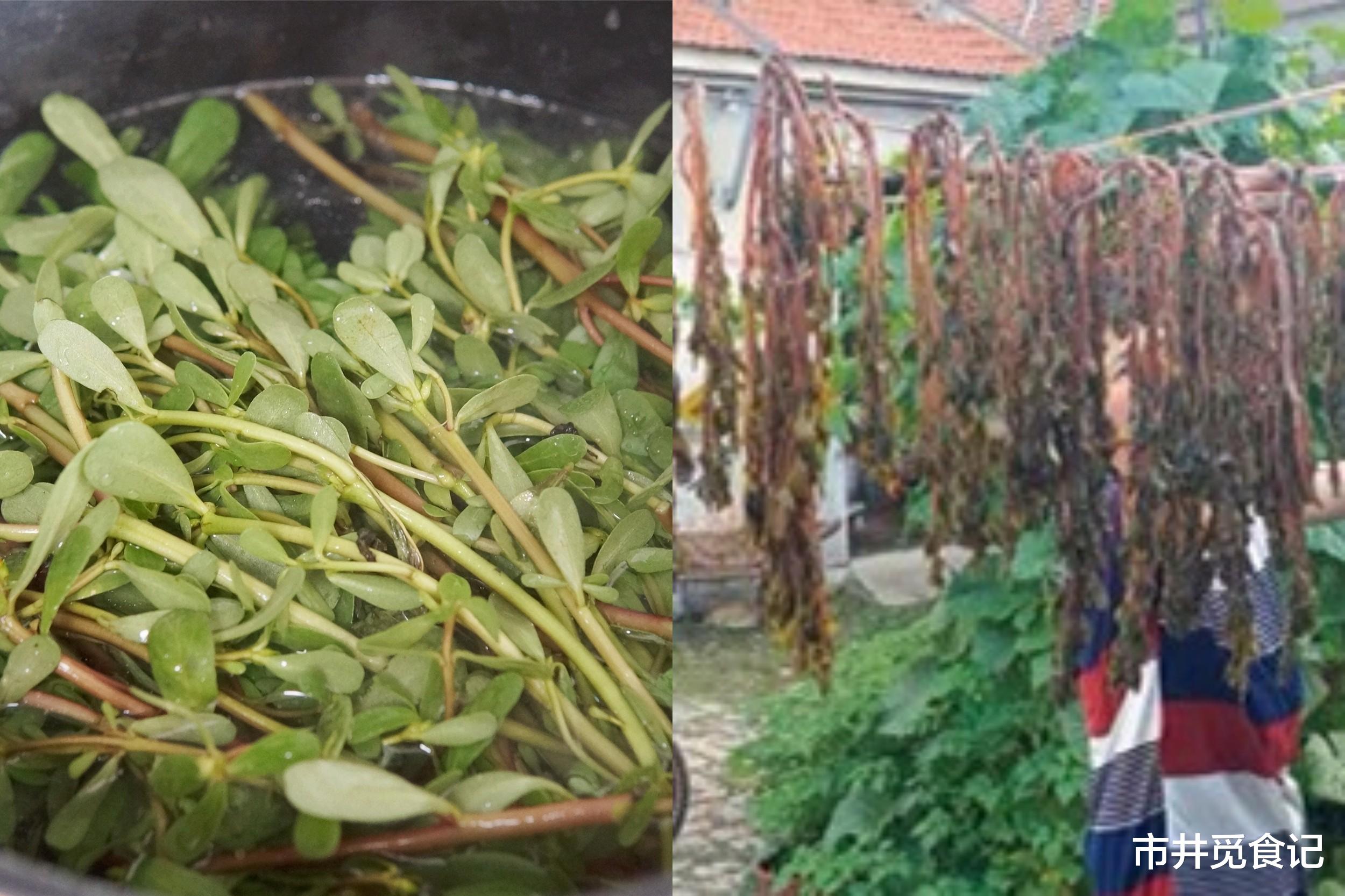 蔬菜|入秋了，抓紧把这6种蔬菜晒成干，好吃耐存储，留着冬天炖肉吃