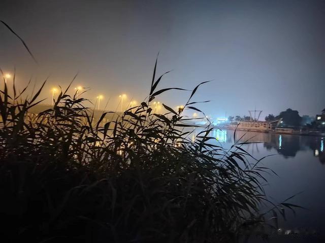 钓鱼日记——2023年7月12日(上庄水库夜钓)