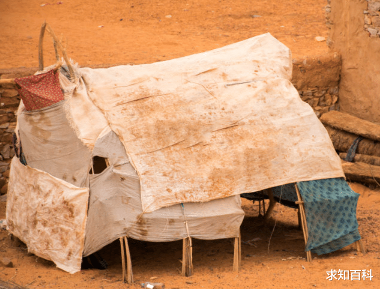 椰枣|世代居住在沙漠中的人，骆驼是主要出行工具，所有人住在帐篷里