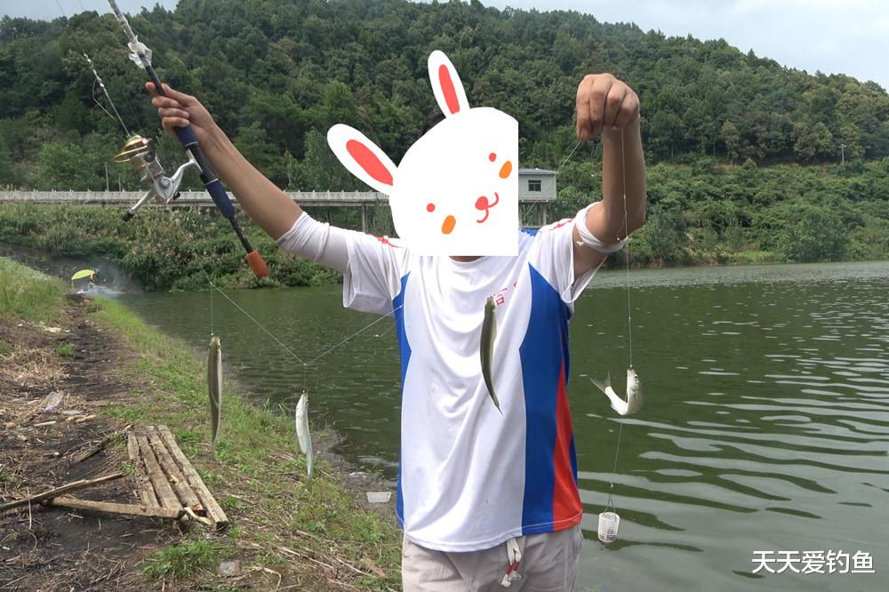 饵料|钓小鱼“无敌”方法,没有哪种是用饵料的