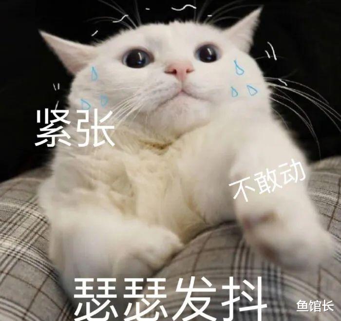 官宣!进入豪门正式退圈,准备生3胎!