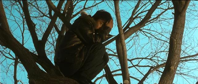 王宝强|11年了,我才发现:《树先生》原来讲的是一个男人“复仇”的故事