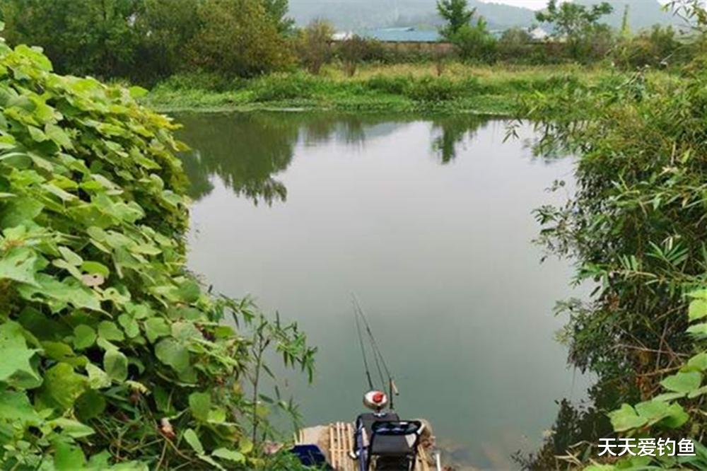 秋季钓鱼分3个阶段,技巧跟着节气变,大货一钓一个准