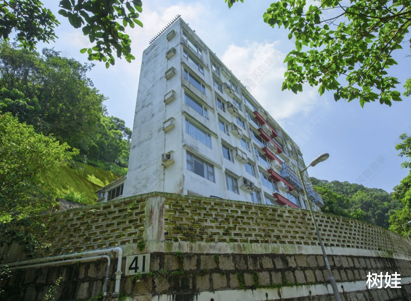 李玟香港物业清单曝光，六套房产值2.28亿，产权自动转给母亲姐姐