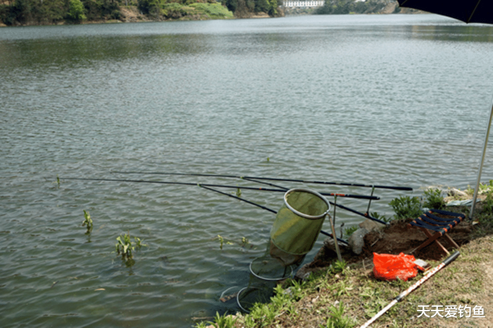 夏天野钓,3种位置全天“藏”大鱼,可钓白天也可夜钓