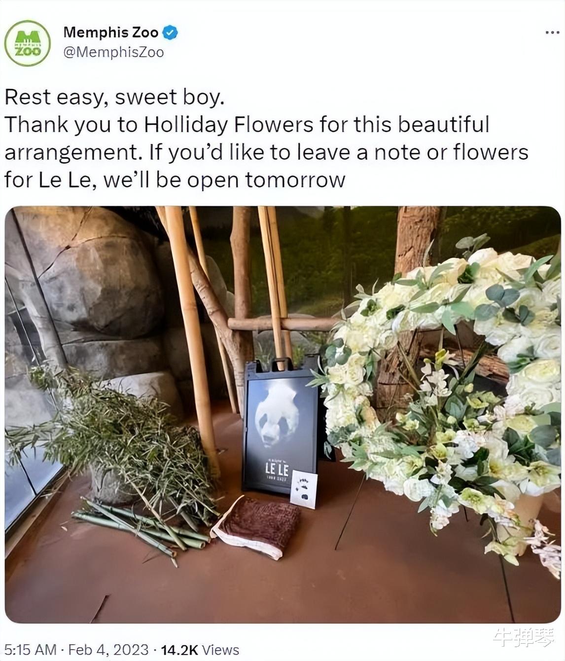 美国|一觉醒来，美国传来两个不寻常的消息