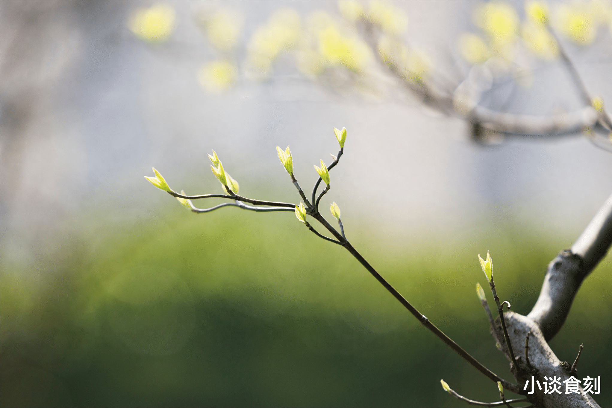 |俗语“一年没有春,寡妇遍地分”,2024是“无春年”,有啥讲究?