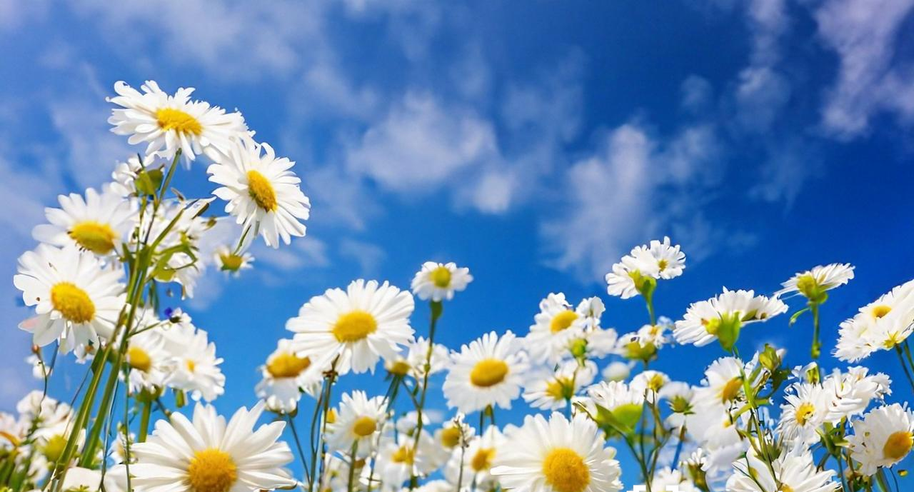 平凡之路|《平凡之路》中舒一南被安排好了一切,我们又能为孩子做些什么?