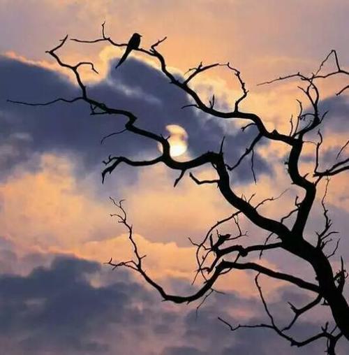 |性格是否会决定一个人的人生?